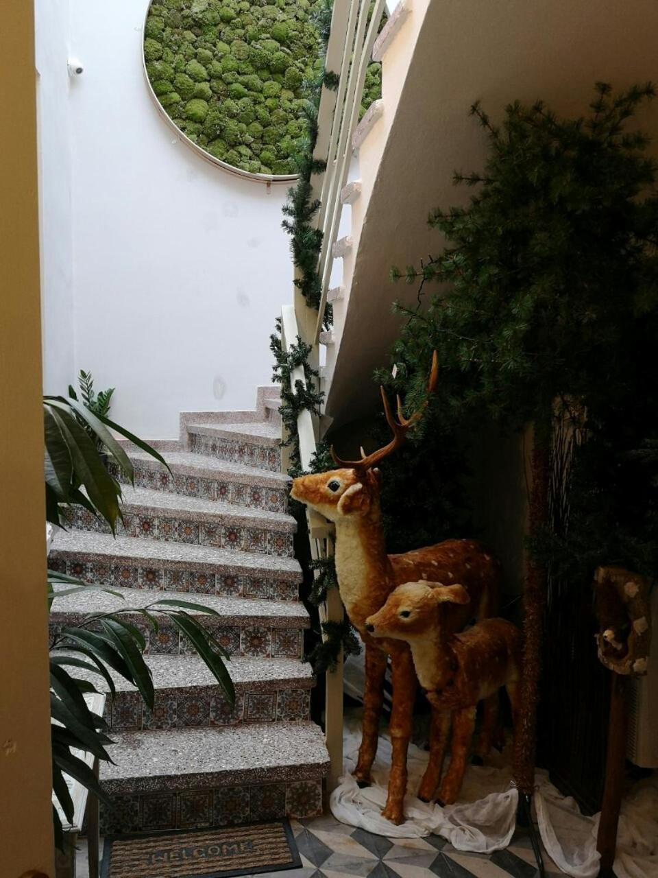 Sali Boutique Hotel Alexandroúpoli Extérieur photo